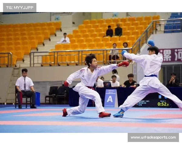 空手道国际组织改革与全球治理水平提升的战略路径探讨